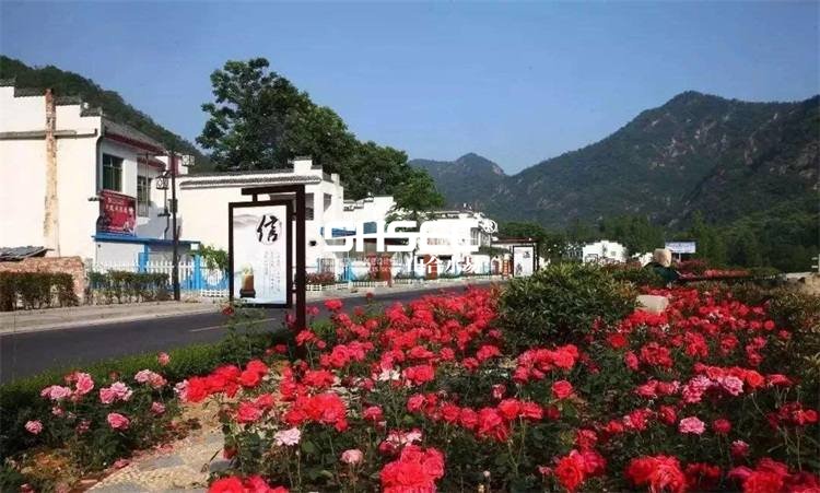 �а����ӡ������彨���ж�ʵʩ������