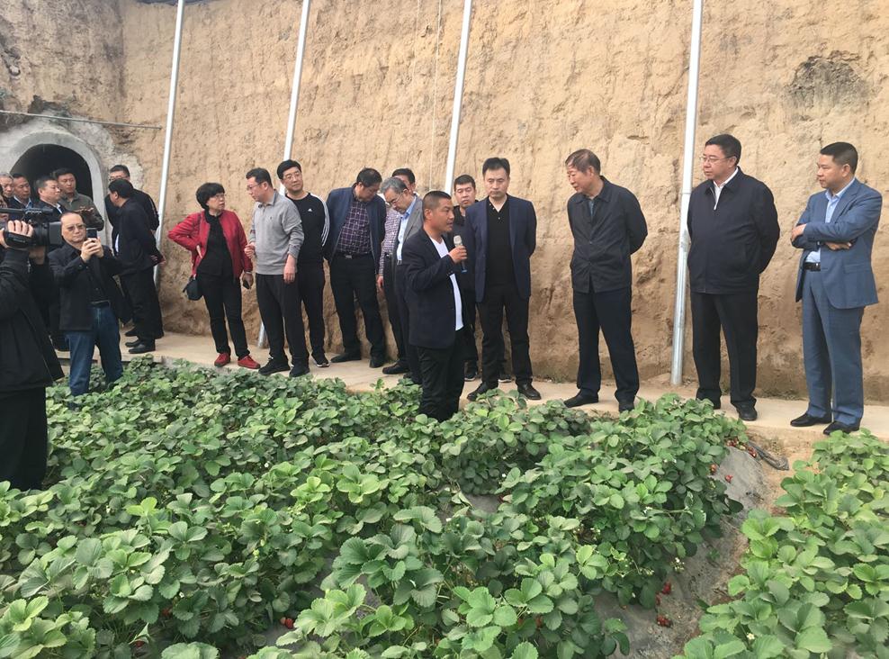 �´������鳤���������һ�и���������